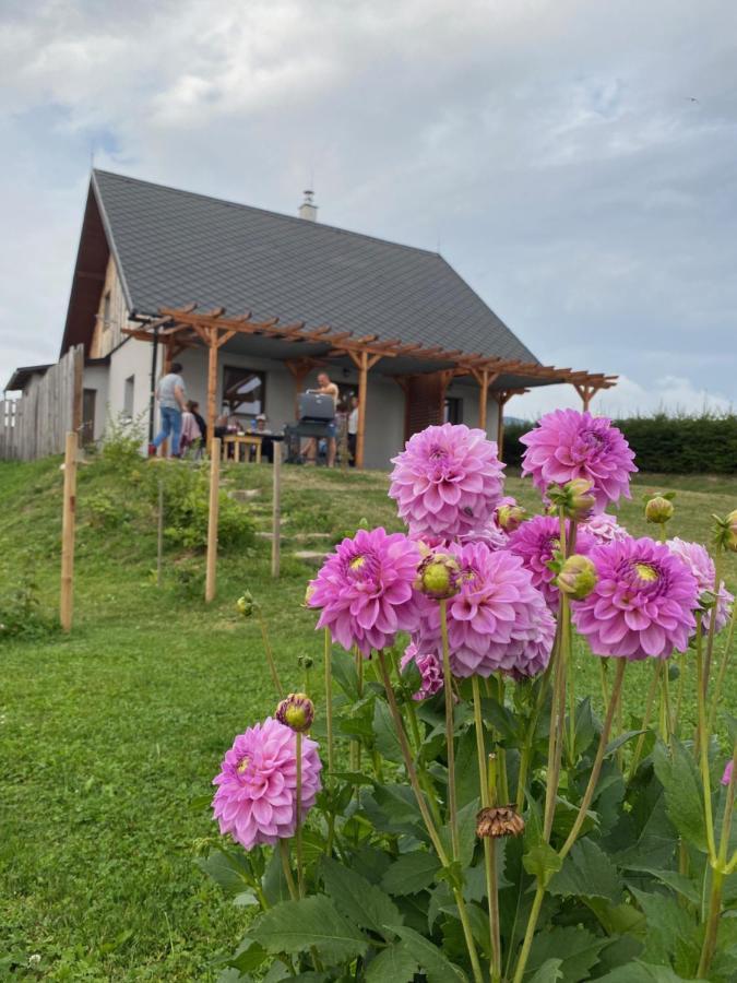 Apartmany U Mateje Долні-Морава Екстер'єр фото